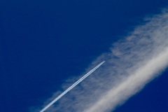 variatie vlieger/off to Miami ©Katrien Meganck